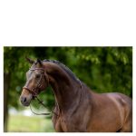 BR bitloos hoofdstel Lewes