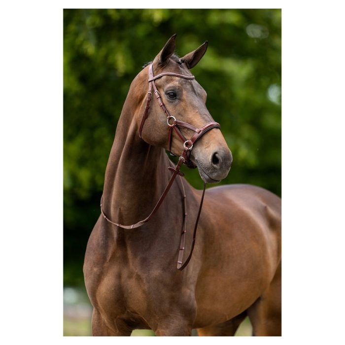 BR bitloos hoofdstel Lewes