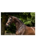 BR bitloos hoofdstel Lewes