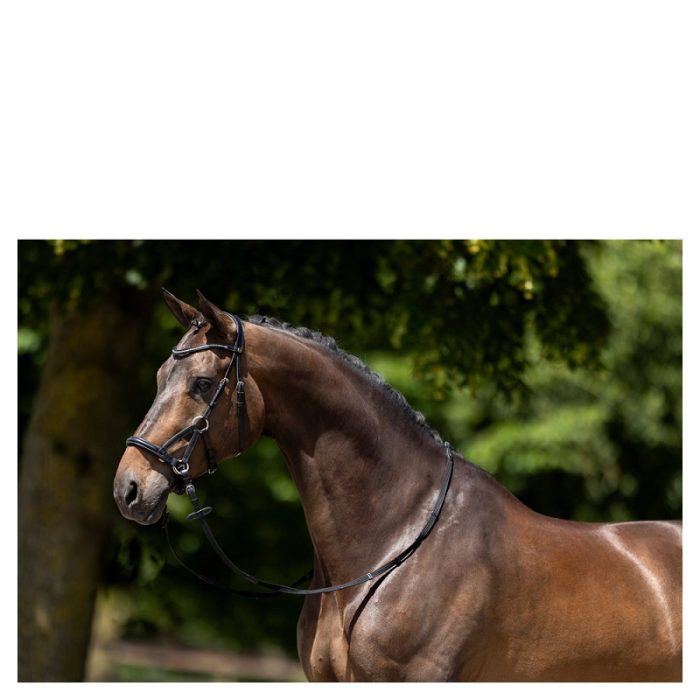 BR bitloos hoofdstel Lewes