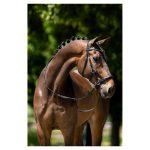 BR bitloos hoofdstel Lewes