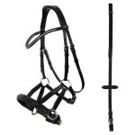 BR bitloos hoofdstel Lewes