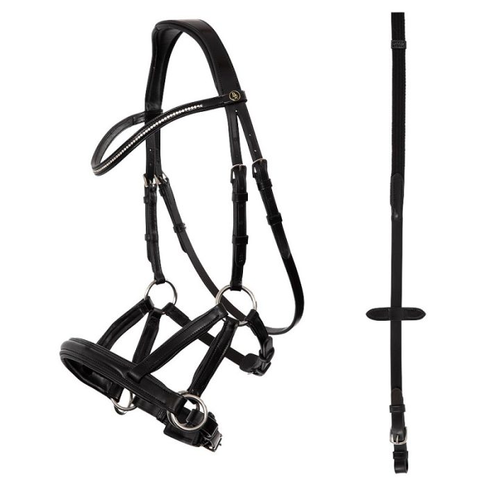 BR bitloos hoofdstel Lewes