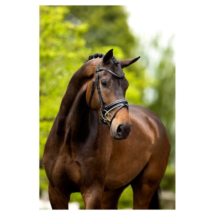 BR hoofdstel Kingston