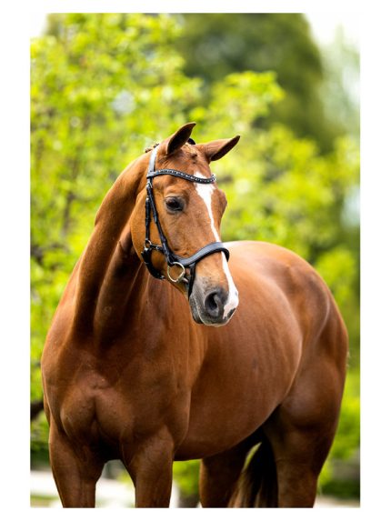 BR hoofdstel Mirfield