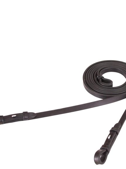 BR lederen stangteugels