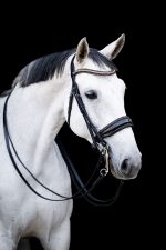 HB Showtime anatomisch stang en trens