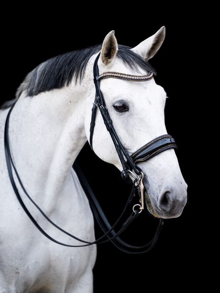 HB Showtime anatomisch stang en trens