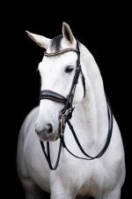 HB Showtime anatomisch stang en trens