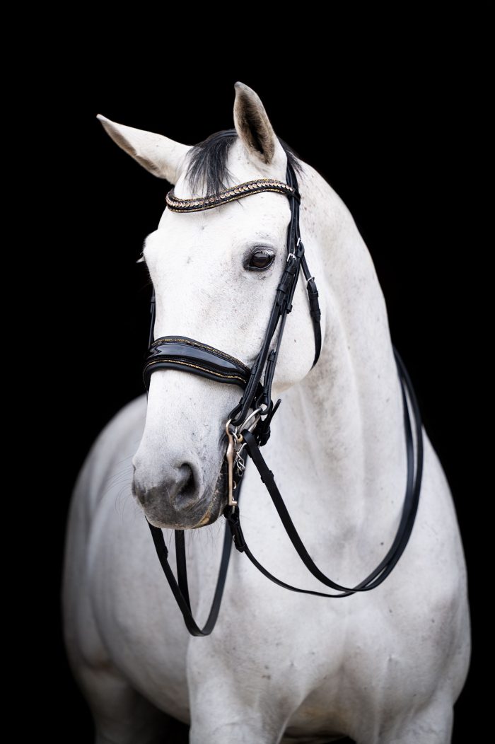 HB Showtime anatomisch stang en trens