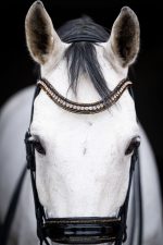 HB Showtime anatomisch stang en trens