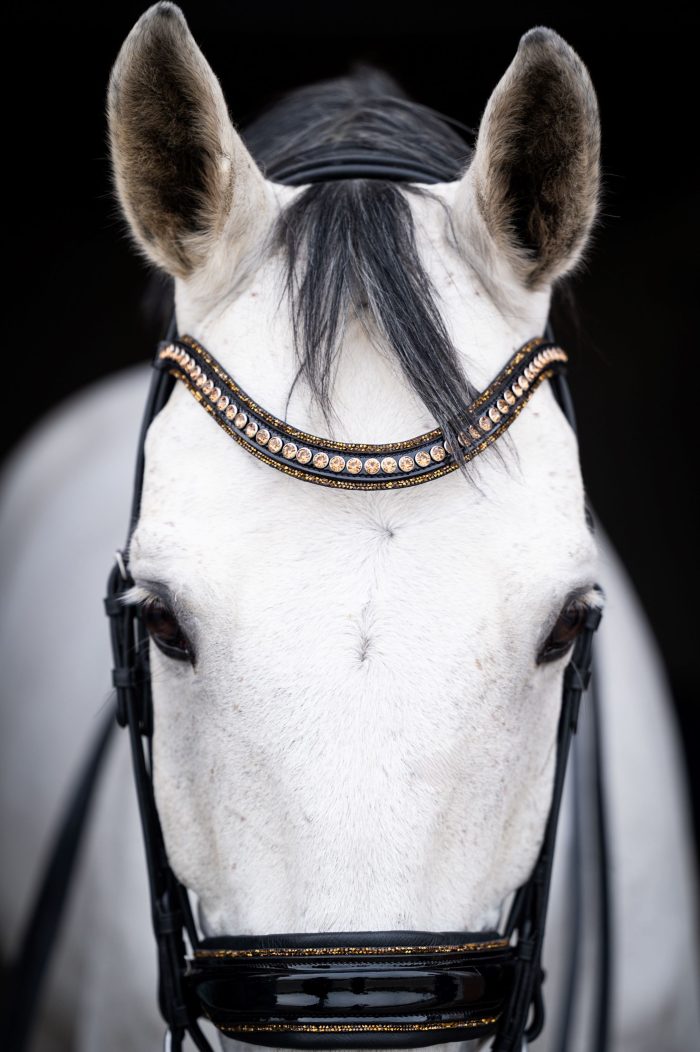 HB Showtime anatomisch stang en trens