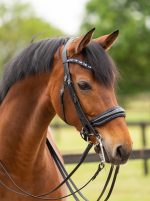 HB Showtime anatomisch stang en trens