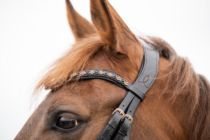 HB Showtime anatomisch stang en trens