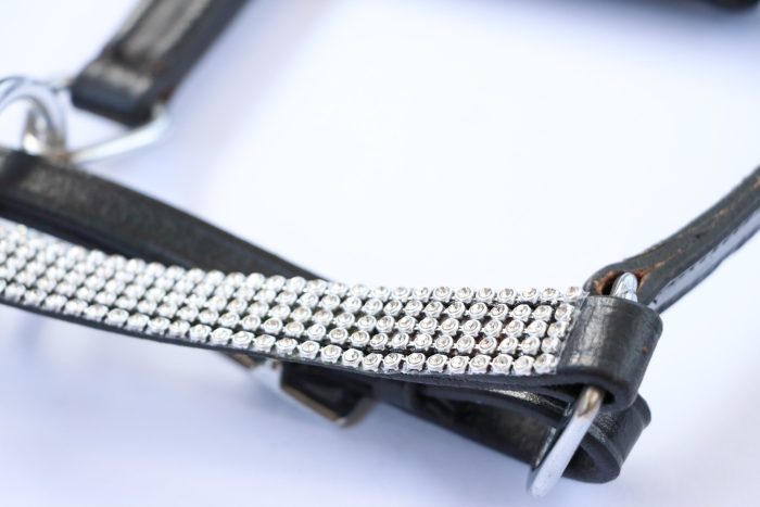 HB lederen veulenhalster