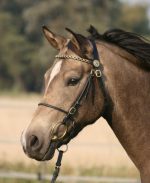 HB luxe voorbrenghoofdstel