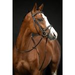 HKM hoofdstel Jana bruin