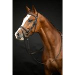 HKM hoofdstel Jana bruin