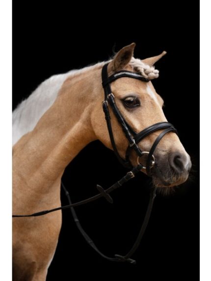 HKM hoofdstel Little Star