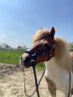 YHR combinatiehoofdstel Vegan