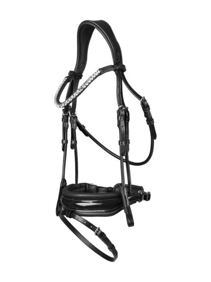 Horka hoofdstel Filius