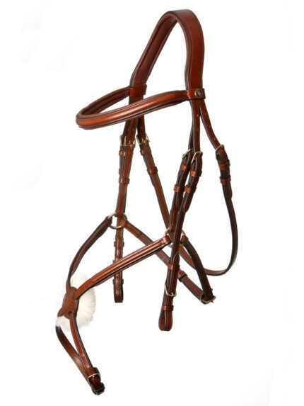 BR Mexicaans hoofdstel Grantham