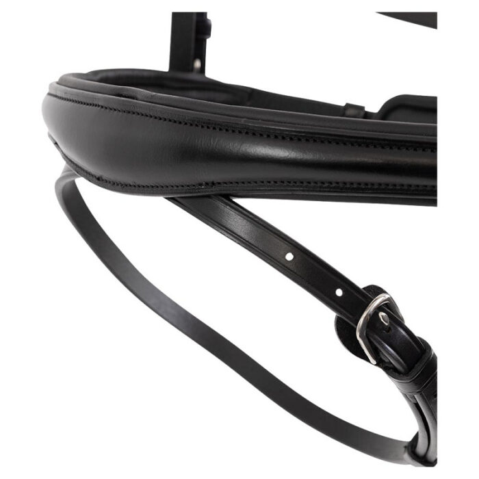 BR hoofdstel Credition