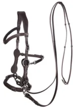 F.R.A. Calli hackamore