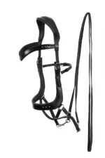 F.R.A. Glory hoofdstel systeem4