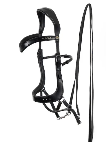 F.R.A. Glory hoofdstel systeem4