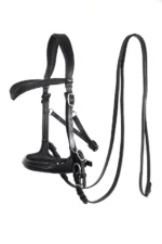 F.R.A. Runa combinatie hoofdstel