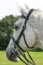 F.R.A. Runa combinatie hoofdstel