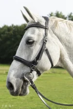 F.R.A. Runa combinatie hoofdstel