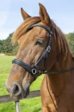 F.R.A. Runa combinatie hoofdstel