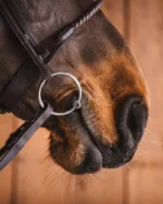 Fager Gustav watertrens