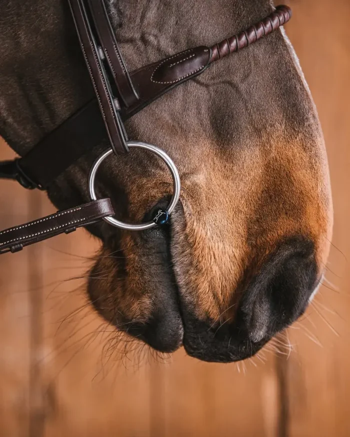 Fager Sally watertrens