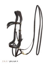 F.R.A. Glory hoofdstel systeem4