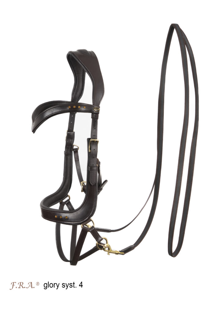 F.R.A. Glory hoofdstel systeem4