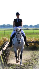 F.R.A. Calli hackamore