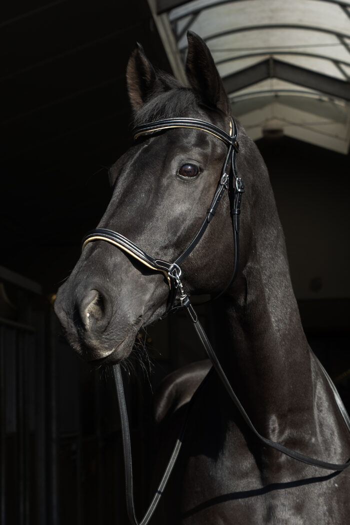 F.R.A. Kiona bitloos hoofdstel F.R.A. Kiona bitloos hoofdstel