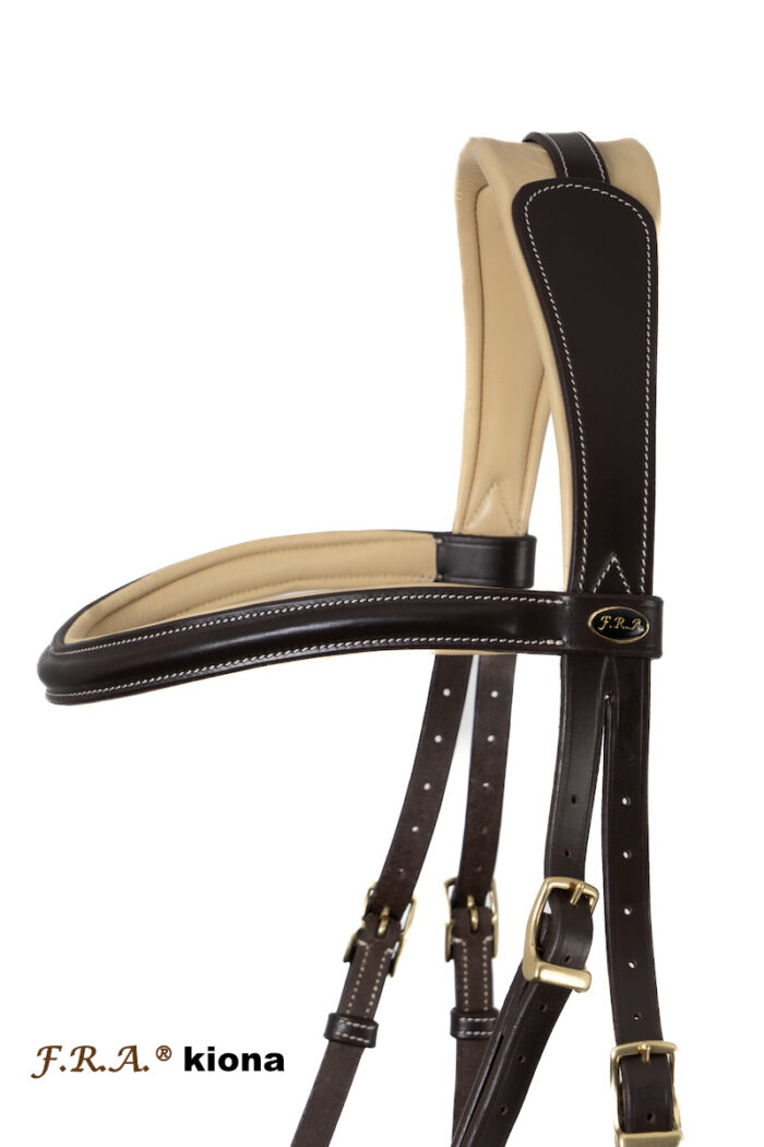 F.R.A. Kiona bitloos hoofdstel F.R.A. Kiona bitloos hoofdstel