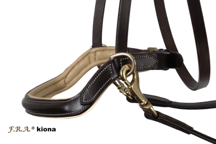 F.R.A. Kiona bitloos hoofdstel F.R.A. Kiona bitloos hoofdstel