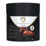 Excellent Horse Glucosamine + MSM