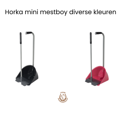 Horka mini mestboy diverse kleuren