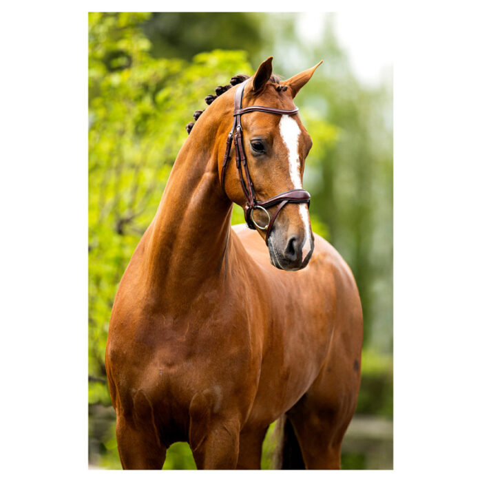 BR hoofdstel Longridge BR hoofdstel Longridge