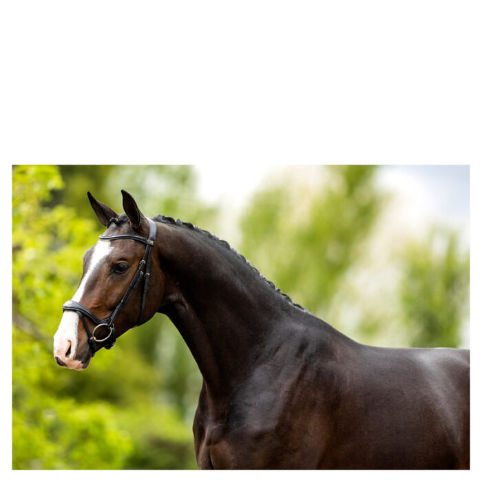 BR hoofdstel Longridge BR hoofdstel Longridge