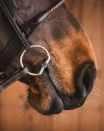 Fager Julia bustrens