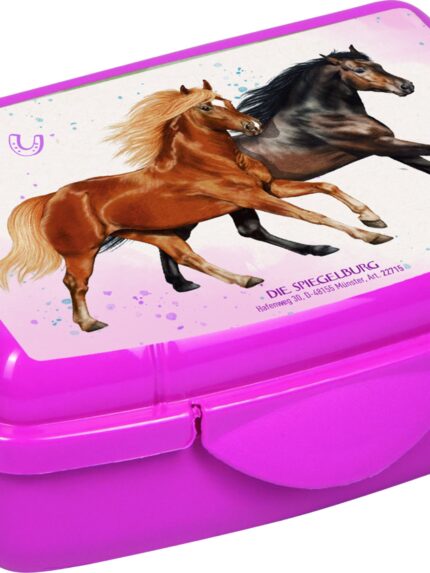 HB Mini snack box pink