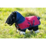 HKM outdoordeken Cuddle Pony