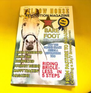 Yellow Horse Revolution Magazine; bitloos versus met bit
